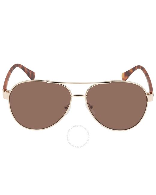 Calvin Klein Brown Pilot Sunglasses for men