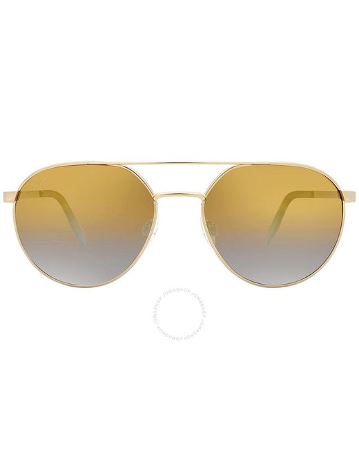 Maui Jim Brown Eyeware & Frames & Optical & Sunglasses