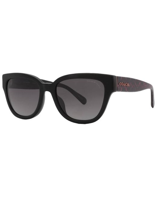 COACH Black Polarized Grey Gradient Butterfly Sunglasses Hc8379u 5002t3 54