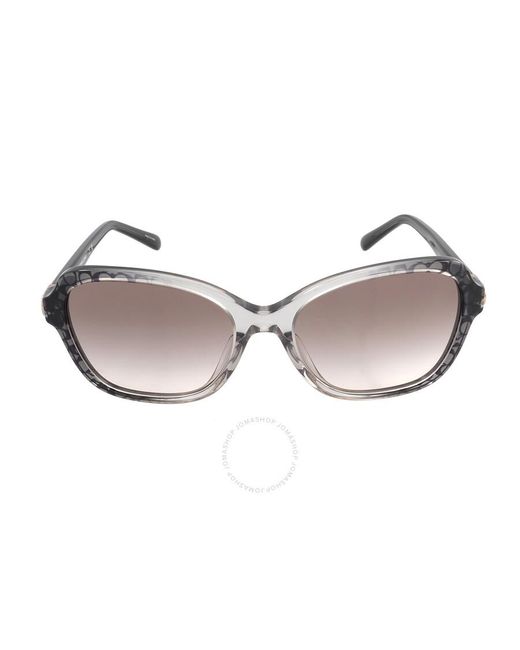 COACH Brown Grey Pink Gradient Irregular Sunglasses Hc8349u 57103b 56