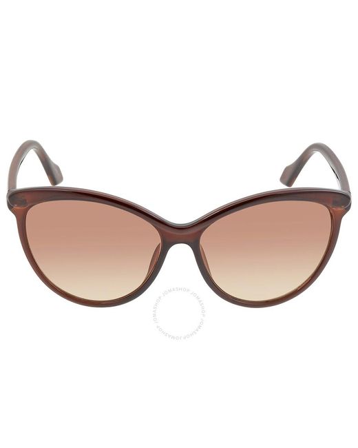 Calvin Klein Brown Cat Eye Sunglasses Ck19534s 210 58