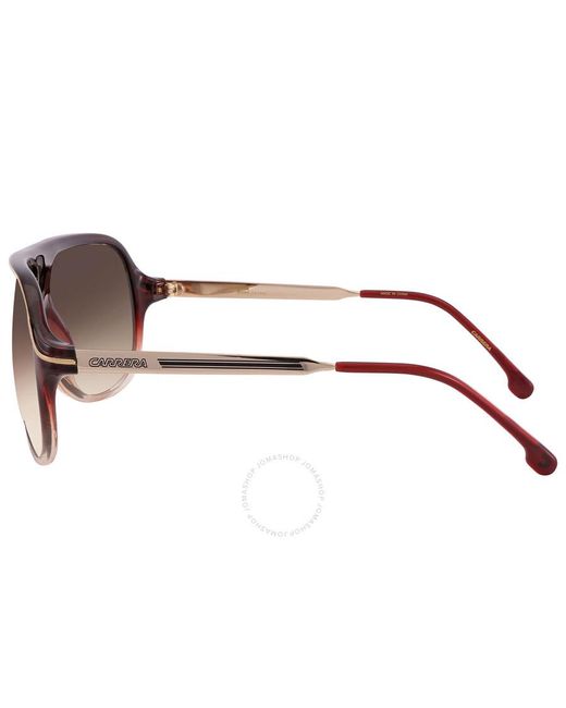 Carrera Brown Gradient Navigator Sunglasses Safari65/n 07w5/nf 62