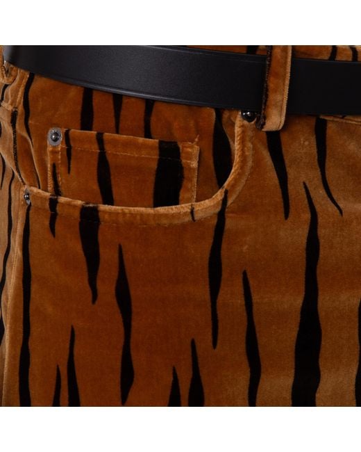 Bally Brown Tiger Printed Cotton Velvet Pants for men