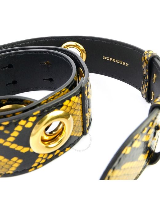 Burberry Multicolor Amber Yellow Croco-embossed Leather Bag Strap