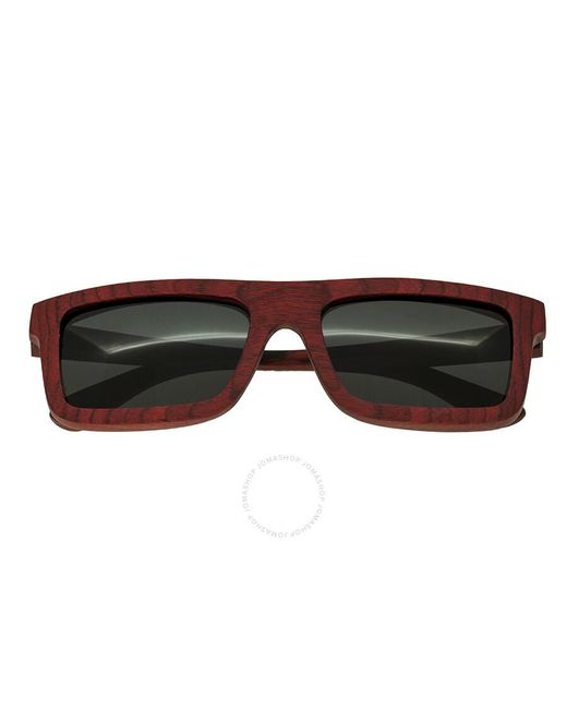 Spectrum Brown Clark Wood Sunglasses