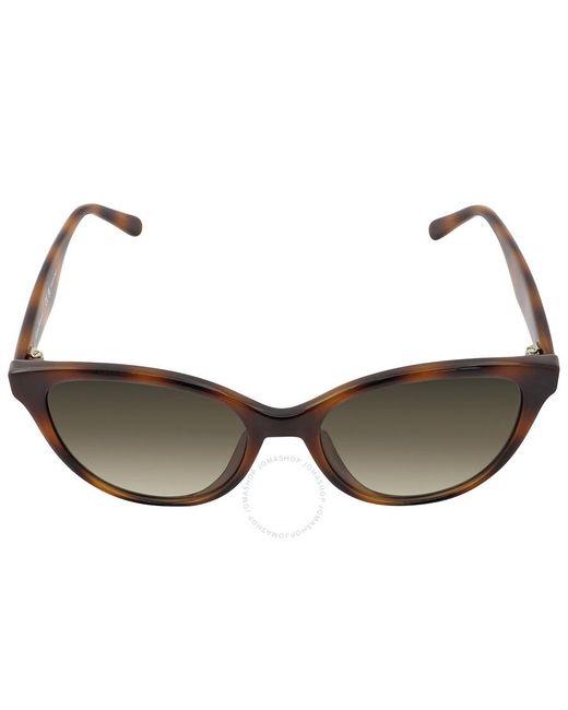 Ferragamo Brown Grey Gradient Butterfly Sunglasses