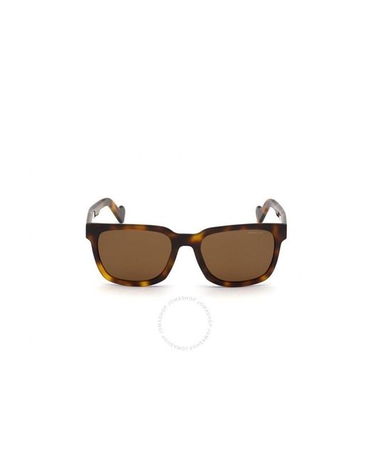 Moncler Brown Polarized Square Sunglasses Ml0174 52h 57 for men