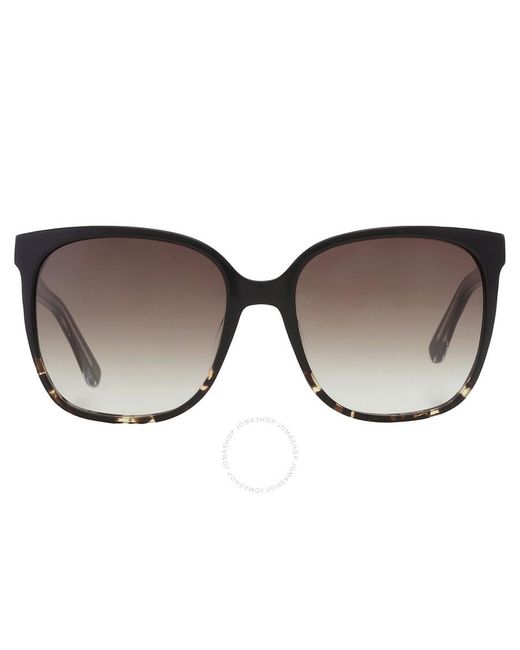 Calvin Klein Brown Square Sunglasses Ck21707s 033 57