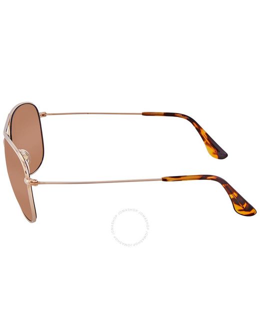 Maui Jim Brown Cliff House Hcl Bronze Pilot Sunglasses Hs247-16 59
