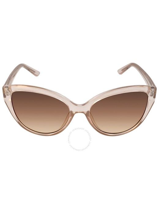 Calvin Klein Brown Cat Eye Sunglasses