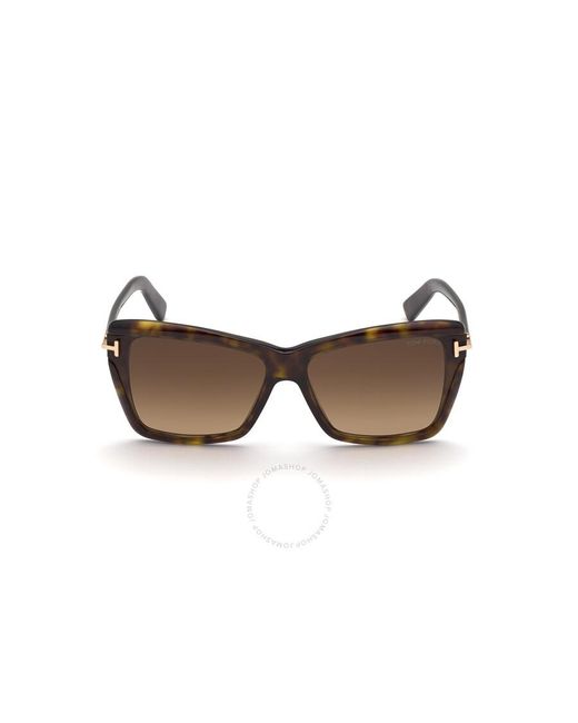 Tom Ford Leah Brown Butterfly Sunglasses