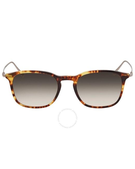 Ferragamo Brown Grey Square Sunglasses Sf2846s 219