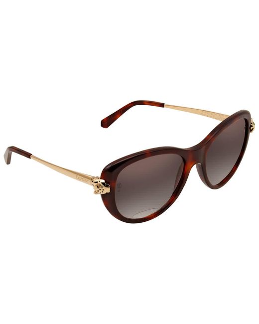 Cartier Brown Cat Eye Unisex Sunglasses  002 55