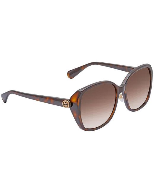 Gucci Brown GG0371SK 002 Women's Sunglasses Tortoiseshell