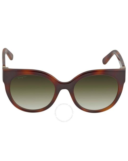 Ferragamo Brown Cat Eye Sunglasses Sf1031s 214 53