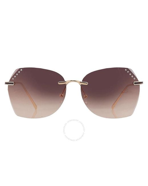 Guess Factory Brown Gradient Butterfly Sunglasses Gf0384 32f 61