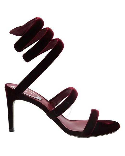 Rene Caovilla Brown Open Box