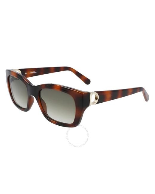 Ferragamo Brown Grey Gradient Square Sunglasses Sf1012s 214 53