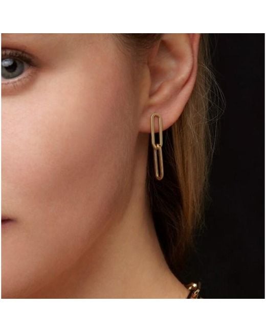 Tresorra Metallic 14K Two Link Paperclip Drop Earrings