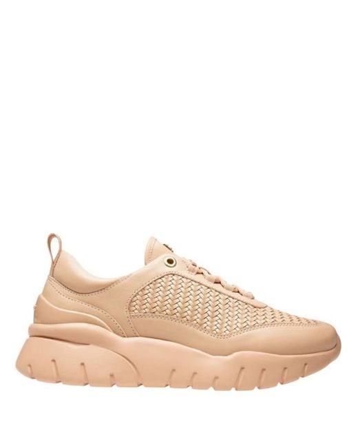 Bally Natural Biara Woven Leather Low-Top Sneakers, Brand Size 35 Us