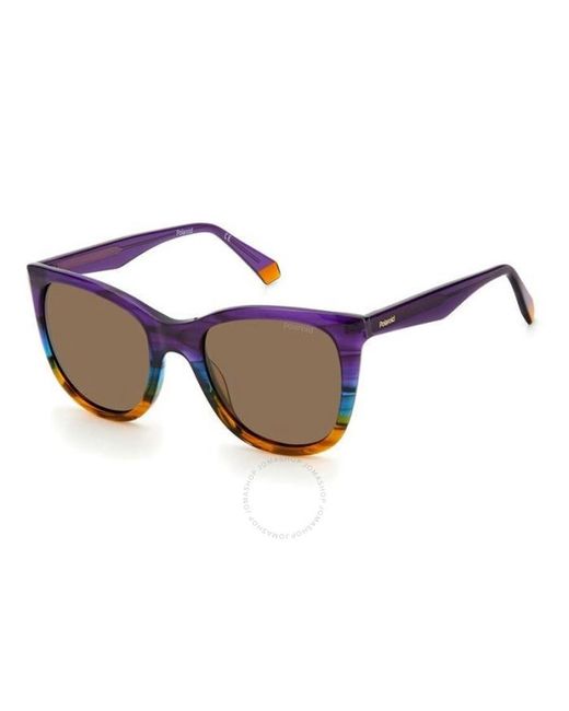 Polaroid Blue Polarized Bronze Cat Eye Sunglasses Pld 4096/s/x 0dkt/sp 52