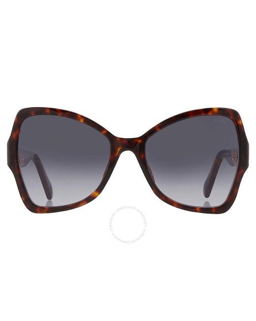 Moschino Black Shaded Butterfly Sunglasses Mos099/s 0086/9o 54