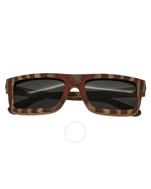 Spectrum Brown Parkinson Wood Sunglasses