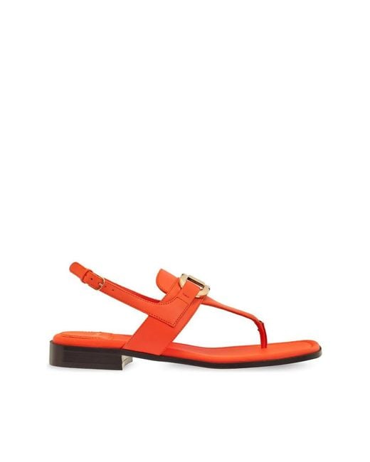 Ferragamo Red Ladies Sandals, Us