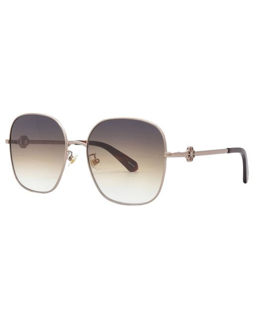 Kate Spade Grey Shaded Brown Square Sunglasses Talya/f/s 0au2/pr 59