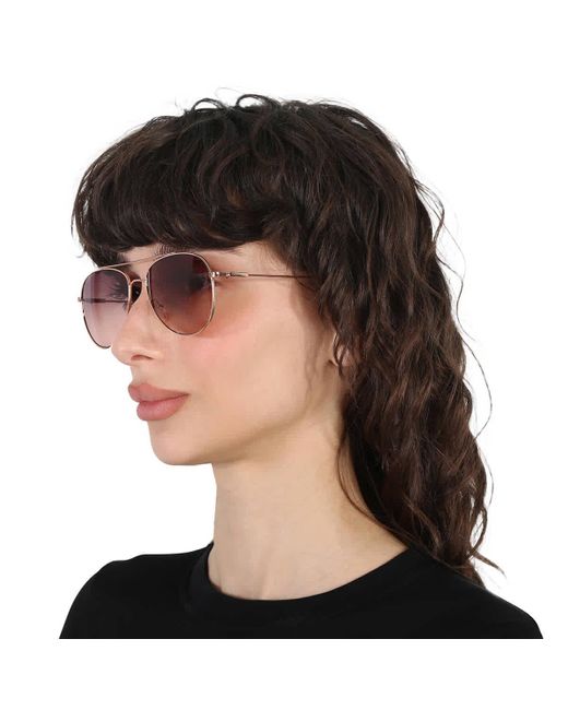Calvin Klein Brown Pilot Sunglasses Ck20120s 780 55