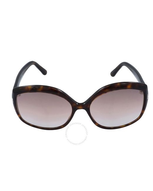 Tom Ford Brown Gradient Butterfly Sunglasses