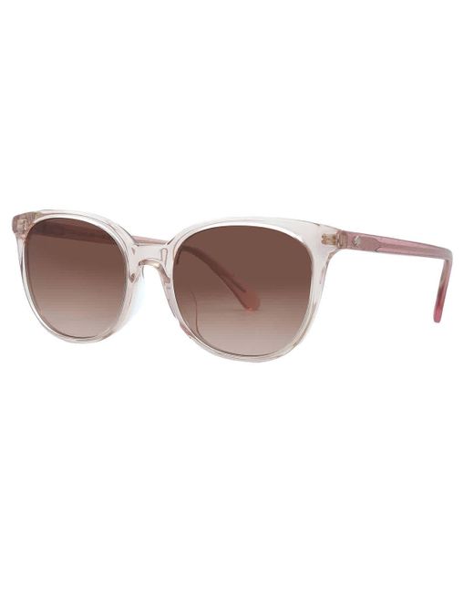 Kate Spade Brown Pink Gradient Oval Sunglasses Andria/s 035j/m2 51