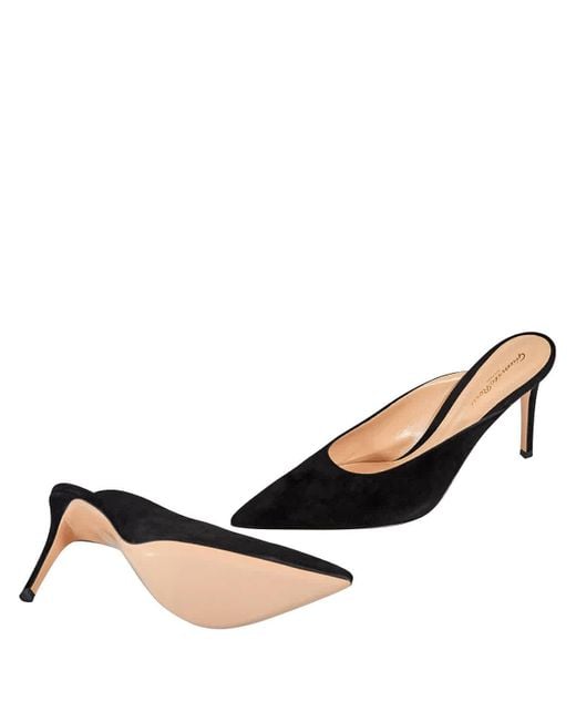 Gianvito Rossi Black Suede Pointed-toe Mules