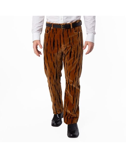 Bally Brown Tiger Printed Cotton Velvet Pants for men