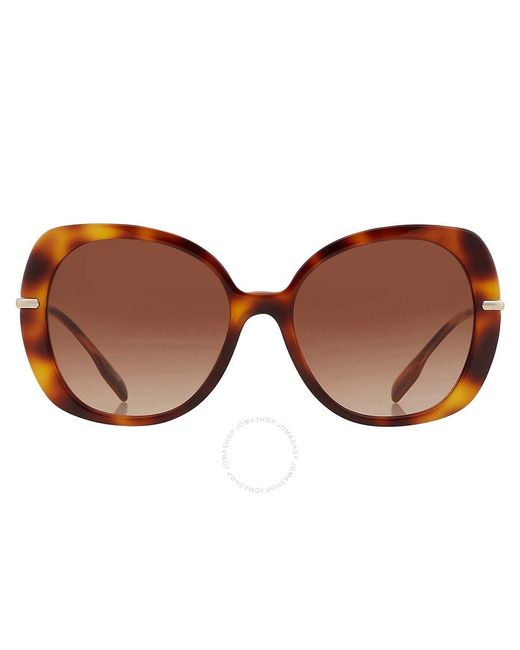 Burberry Eugenie Gradient Butterfly Sunglasses Be4374 331613 55 in 