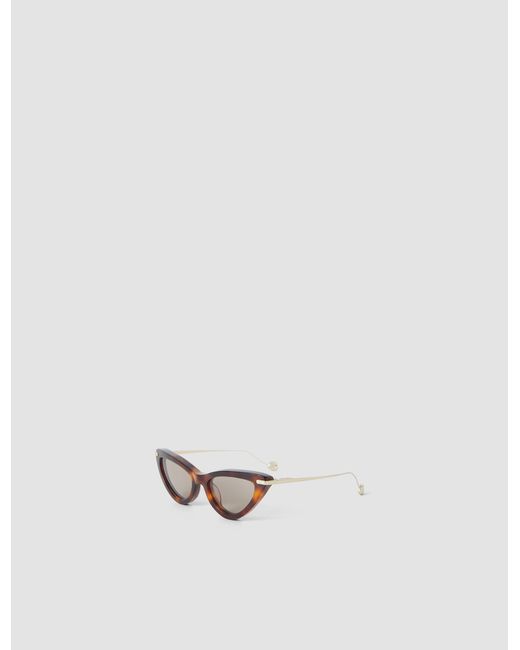 Joseph White Laarous Cat Eye Sunglasses