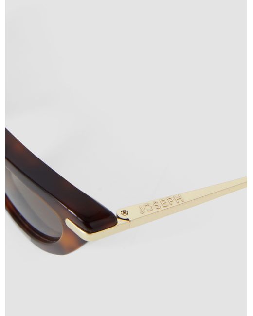 Joseph White Laarous Cat Eye Sunglasses