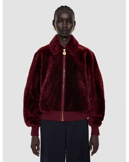Joseph Red Alpes Short Hair Shearling Jacket