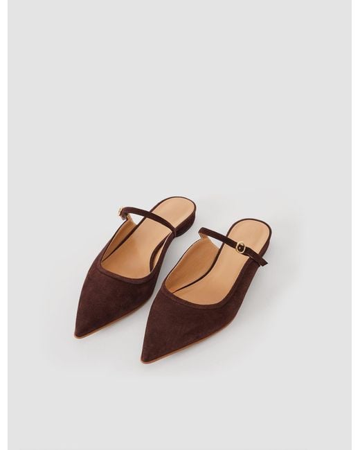 Joseph White Parisa Pointed Suede Ballerinas