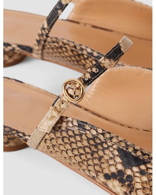 Joseph White Parisa Snake Print Leather Ballerinas