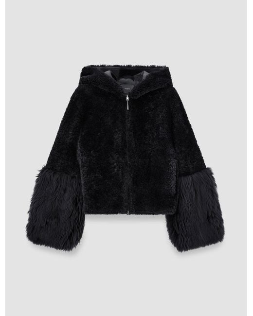 Joseph Black Sarah Shearling Jacket