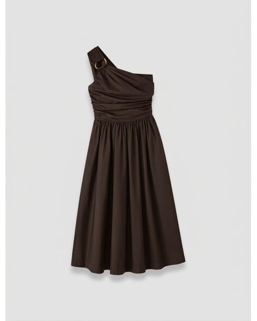 Joseph White Ros Cotton Poplin Dress