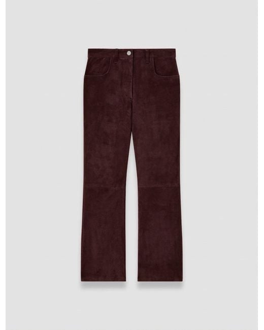 Joseph Purple Duke Suede Stretch Trousers