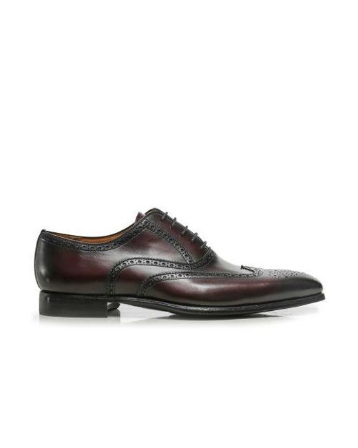 Magnanni Shoes Black Leather Oxford Brogues for men
