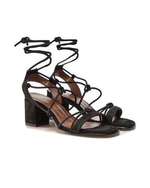 Alohas Sophie Suede Lace Up Sandals in Black | Lyst UK