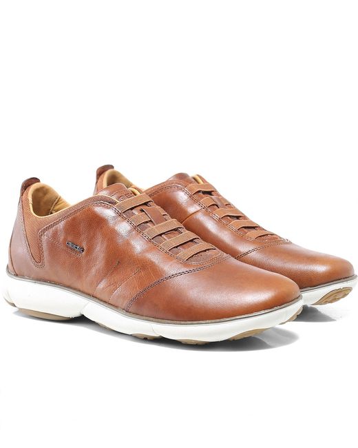 Geox Brown Leather Nebula B Trainers for men