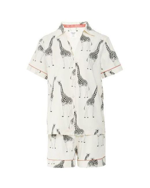 Chelsea Peers White Organic Cotton Giraffe Print Short Pyjamas
