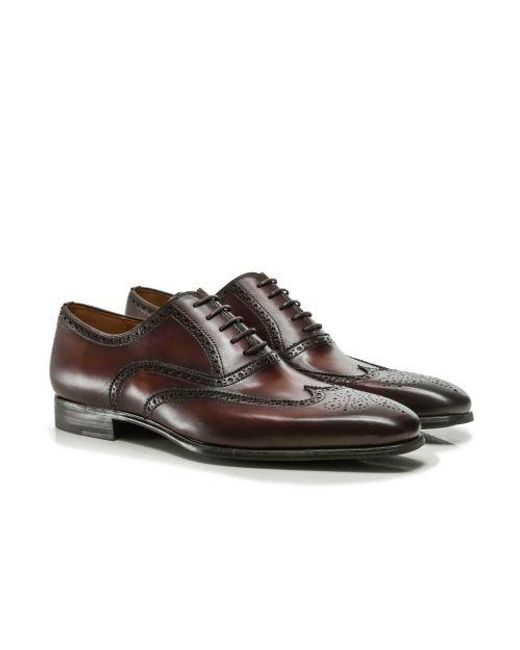 Magnanni Shoes Brown Leather Oxford Brogues for men