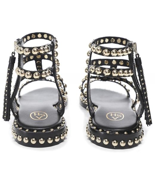 ash studded gladiator sandals