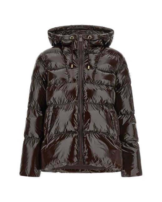 Pinko Brown 'eleodoro' Down Jacket